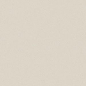 Gạch lát nền taicera 40×40 g49034