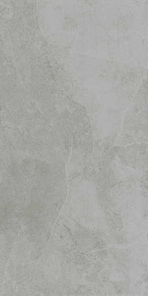 Gạch lát nền taicera 60×120 g12528jdd