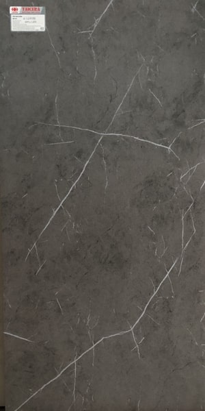 Gạch lát nền taicera 60×120 g12808