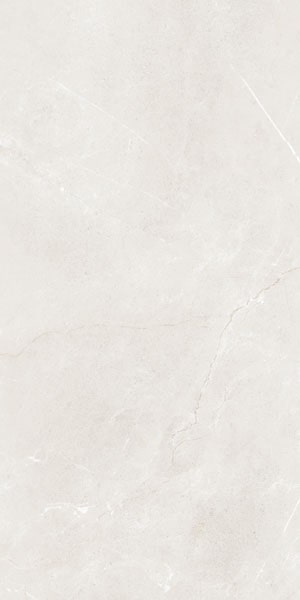 Gạch lát nền taicera 60×120 g12845