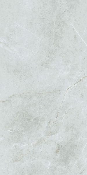 Gạch lát nền taicera 60×120 g12848