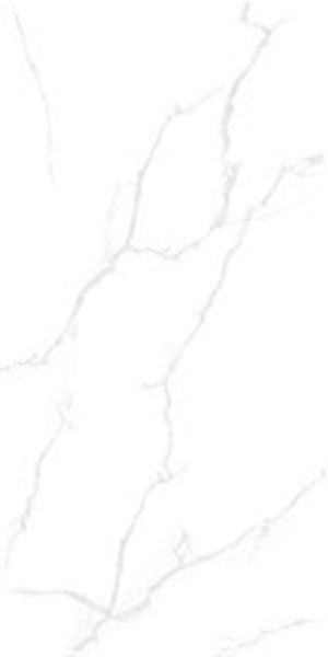 Gạch lát nền taicera 60×120 gp12085