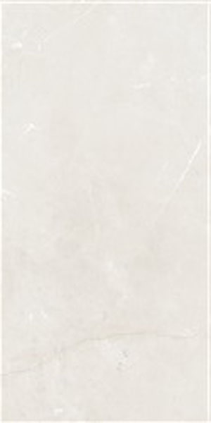 Gạch lát nền taicera 60×120 gp12845