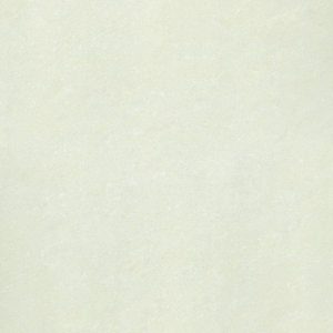 Gạch lát nền taicera 60×60 p67703n