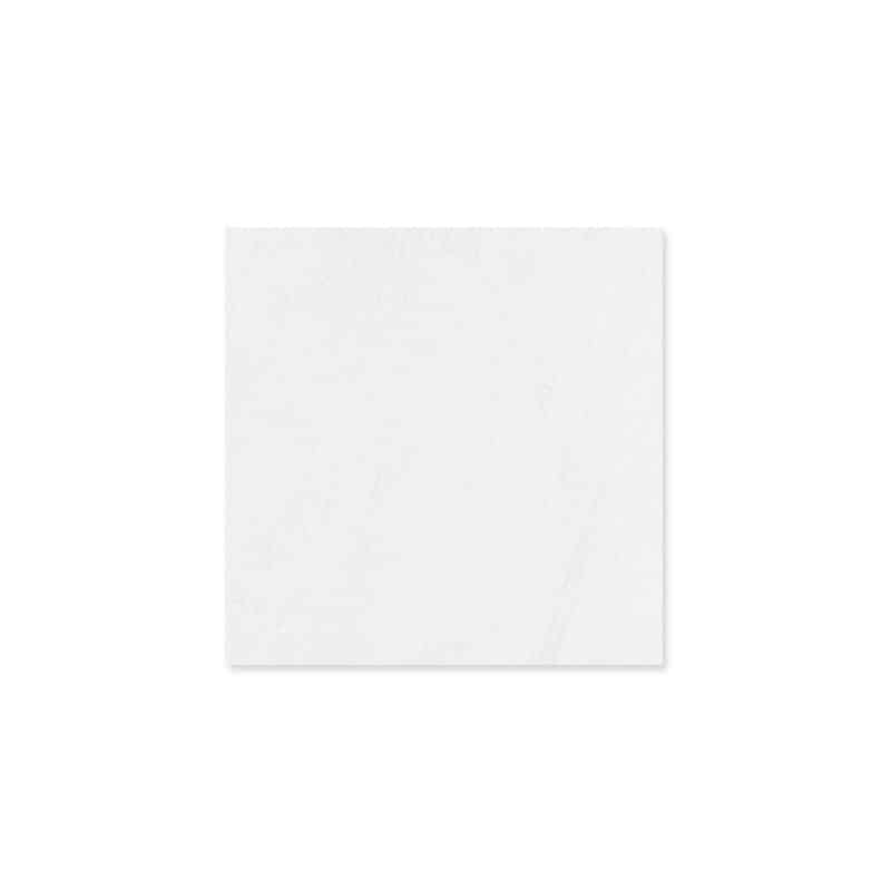 Gạch lát sàn màu trắng mờ 300x300 mm N3300Y