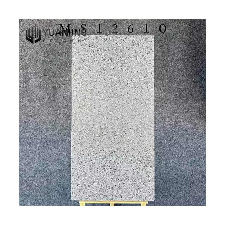 Gạch men mài bóng cao cấp khổ lớn mờ 600x1200mm