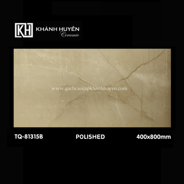Gạch ốp lát 400×800 TQ-81315B