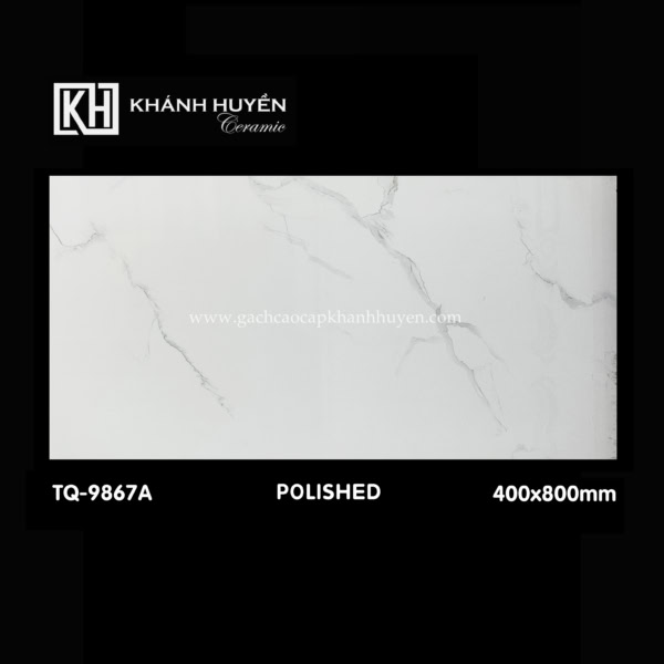 Gạch ốp lát 400×800 TQ-9867A