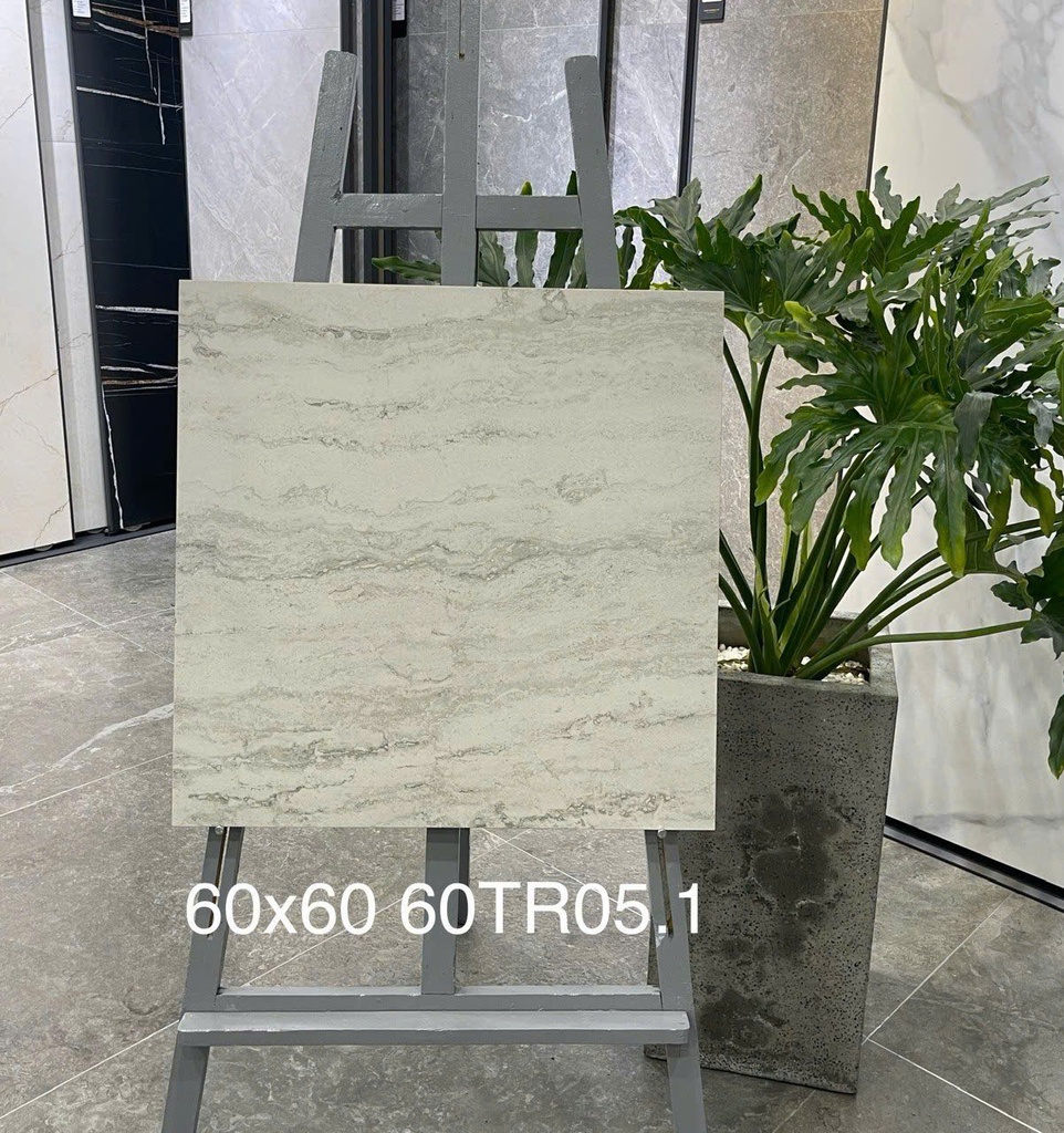 Gạch ốp lát 600x600 mã 60TR05