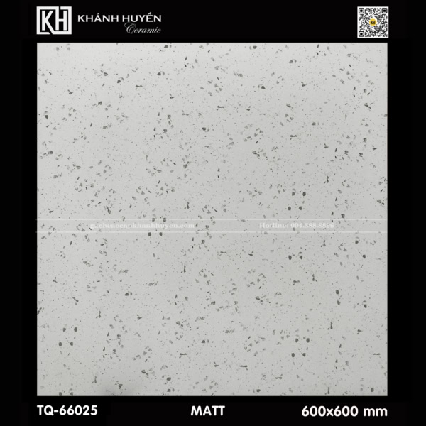 Gạch ốp lát 600×600 TQ-66025