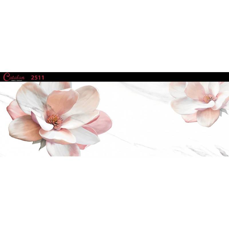 Gạch ốp tường 255x780 Catalan 2511