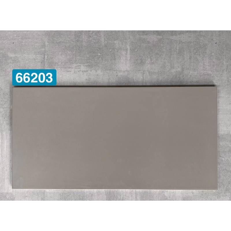 Gạch ốp tường 300x600 mmmm 66203