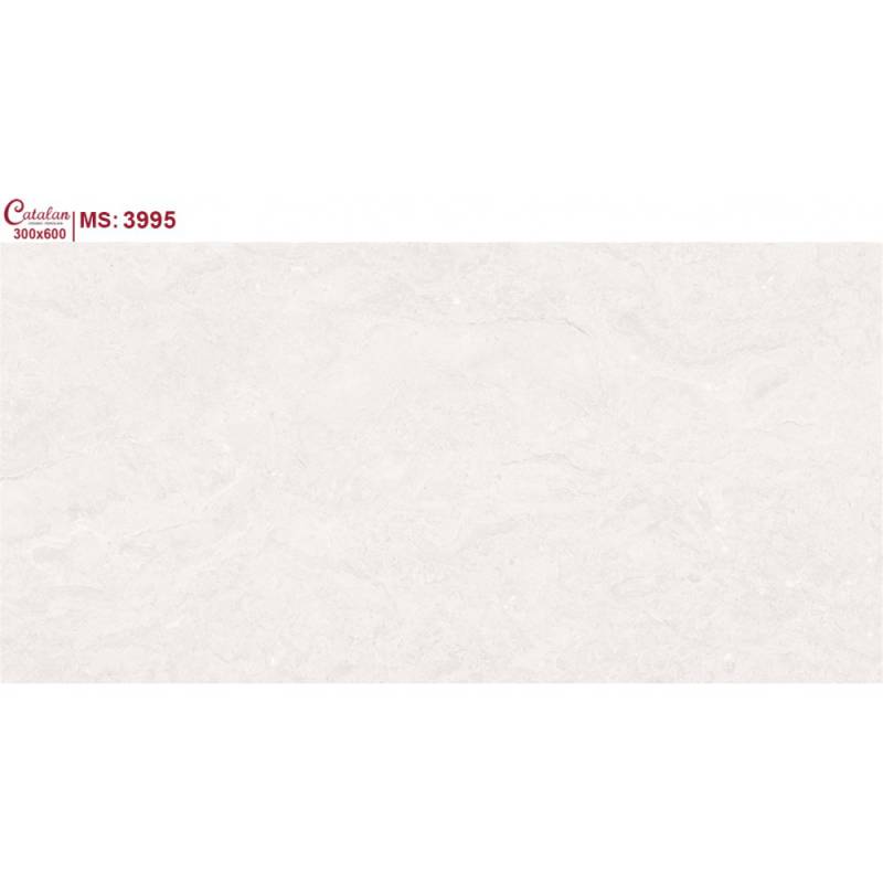 Gạch ốp tường 30x60 Catalan 3995