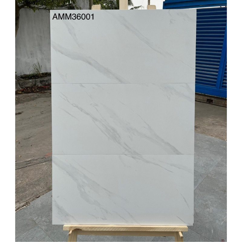 Gạch ốp tường KT 300x600 mmmm AMM36001