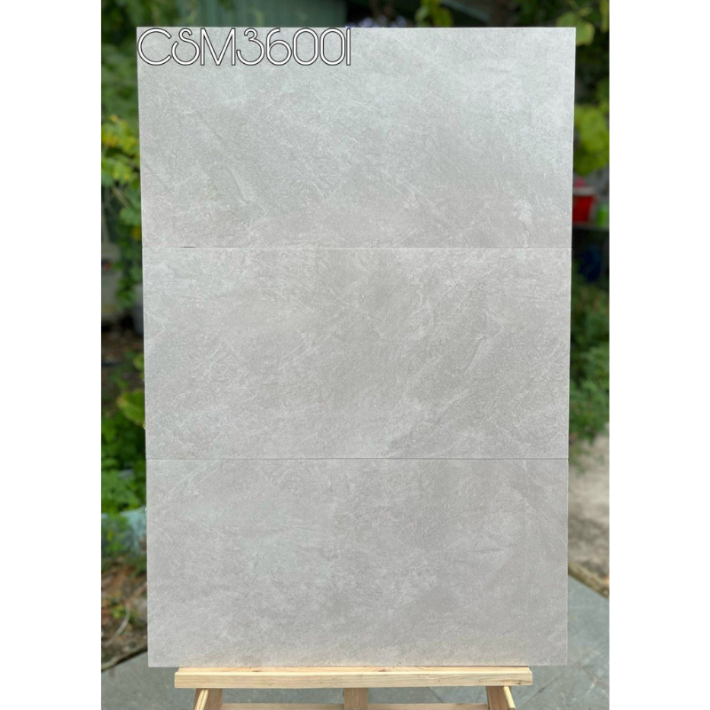Gạch ốp tường KT 300x600 mmmm CSM36001