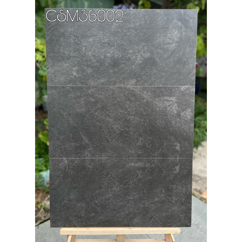 Gạch ốp tường KT 300x600 mmmm CSM36002