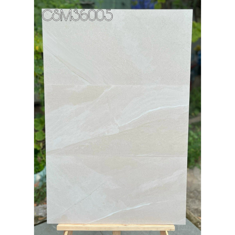 Gạch ốp tường KT 300x600 mmmm CSM36005