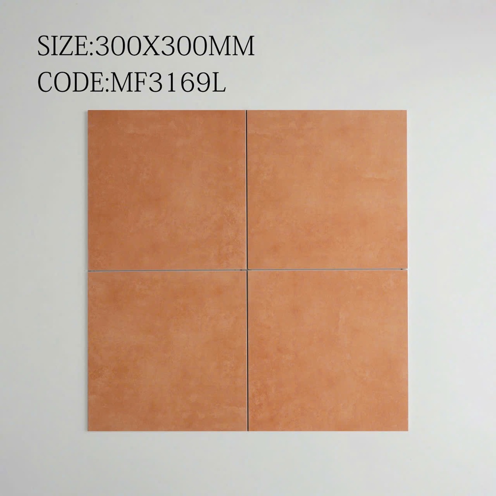 Gạch bông giả cổ  TQ, KT 300x300 mm Xương porcelain mặt mờ, mã MF3169L (FG30889) (1h/1m/11v)