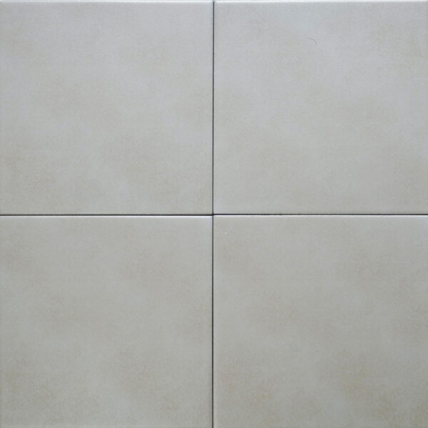 Gạch Bông 200x200 mm IN2013