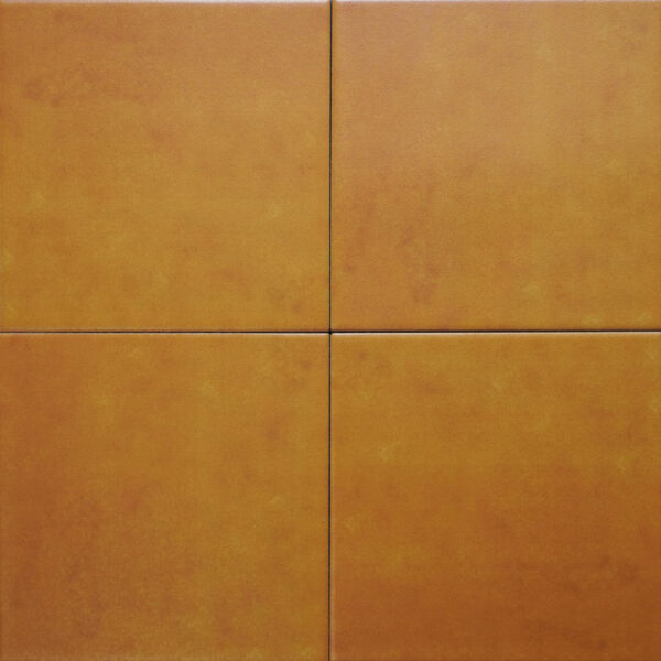 Gạch Bông 200x200 mm IN2015