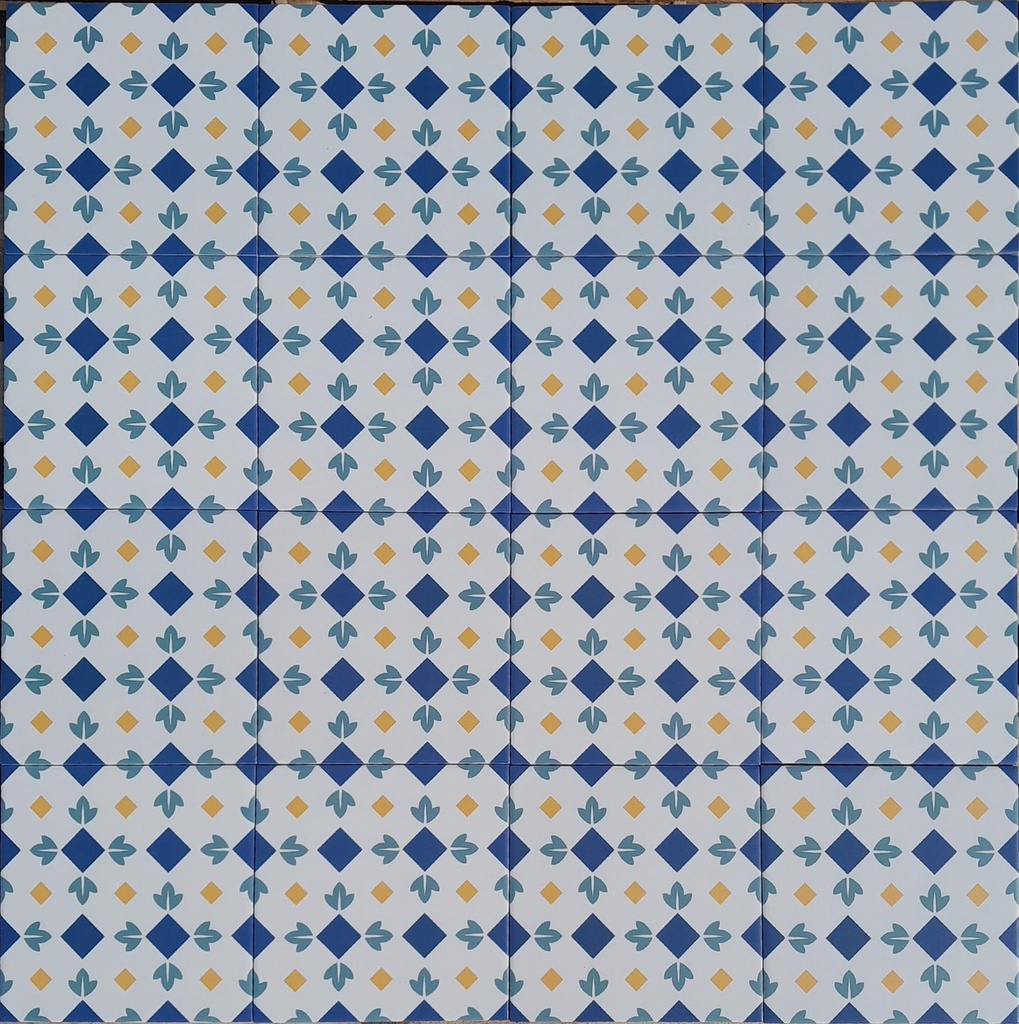 Gạch bông 200x200 mm ND228