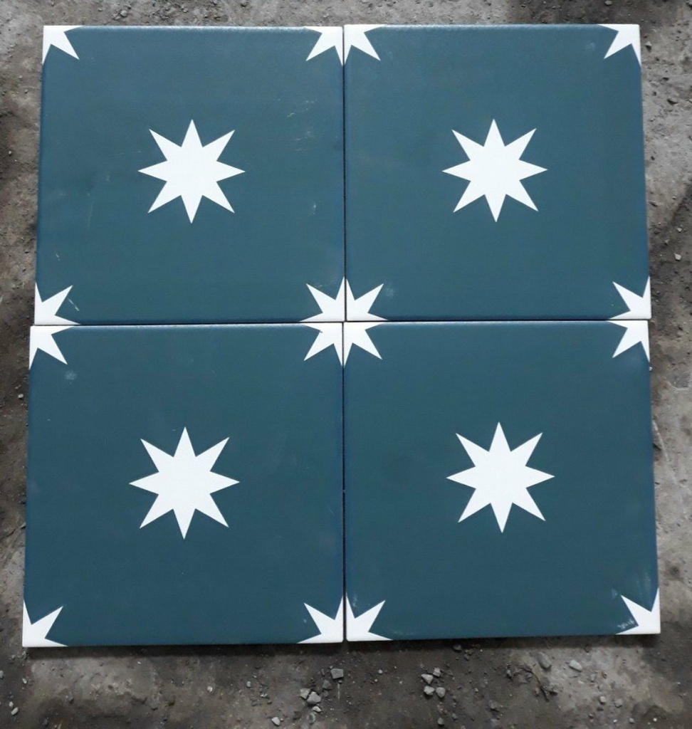 Gạch bông 200x200 mm bông xanh ND 244