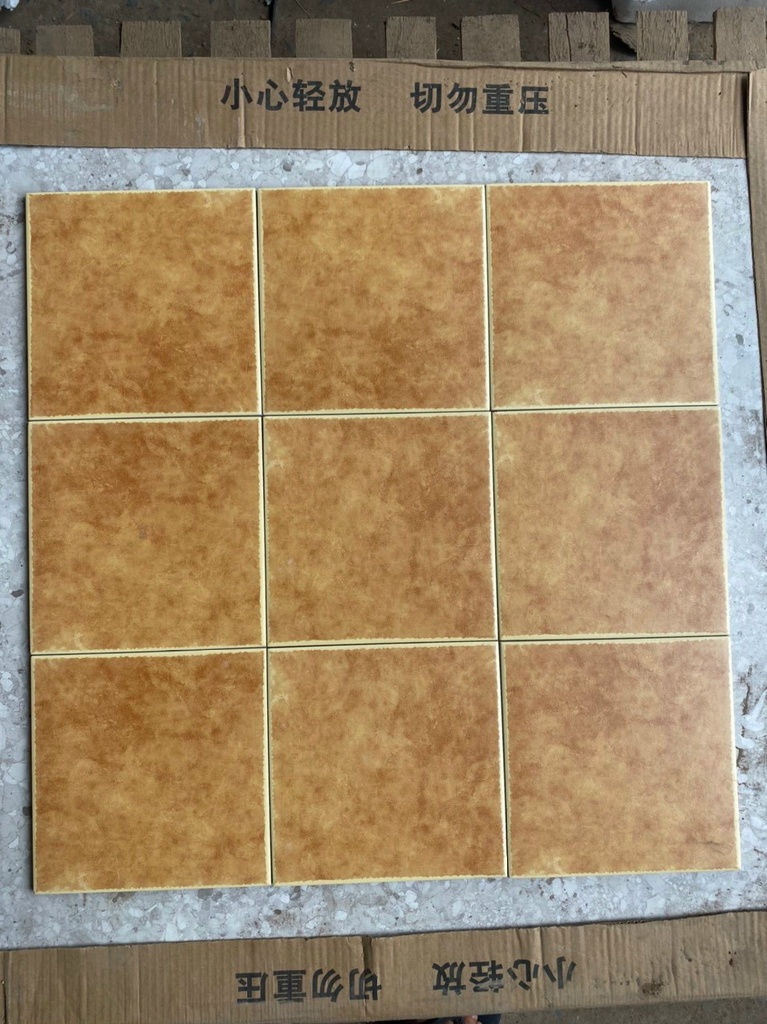 Gạch bông 200x200 mm mã 6H13