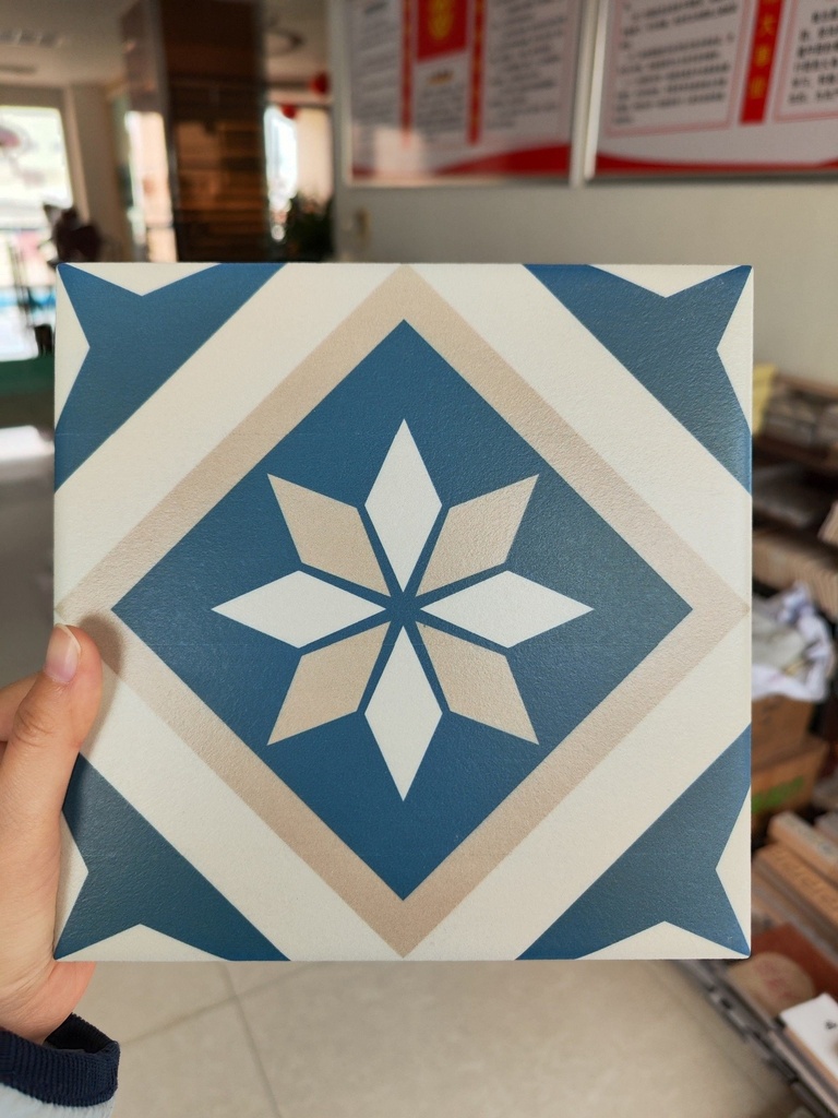 Gạch bông 200x200 mm mã DS2909 (BDV 30v/hộp)