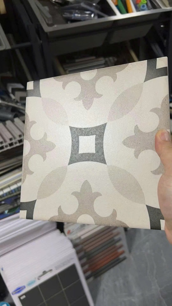 Gạch bông 200x200 mm mã DS2920