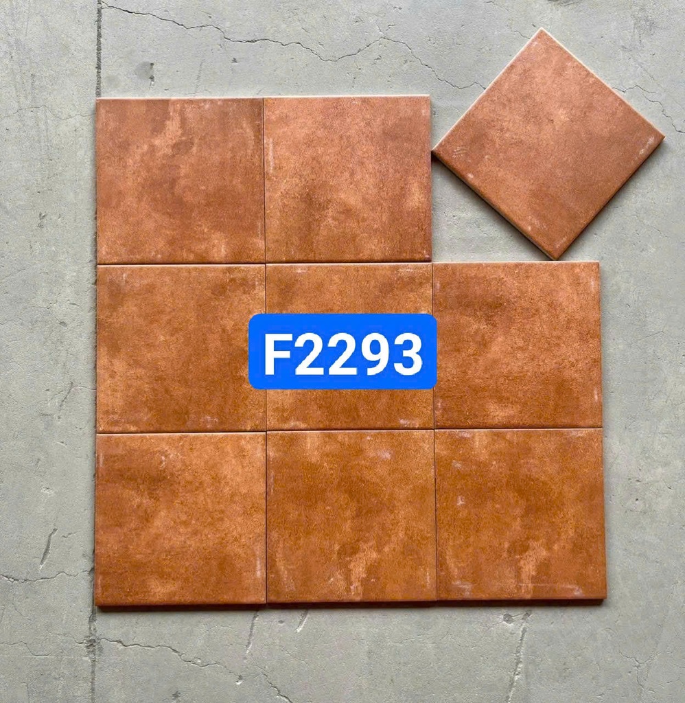 Gạch bông 200x200 mm mã F2293