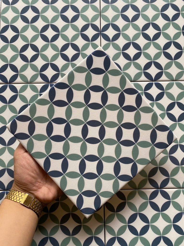 Gạch bông 200x200 mm đồng tiền nhỏ ADP20 (LZ21)