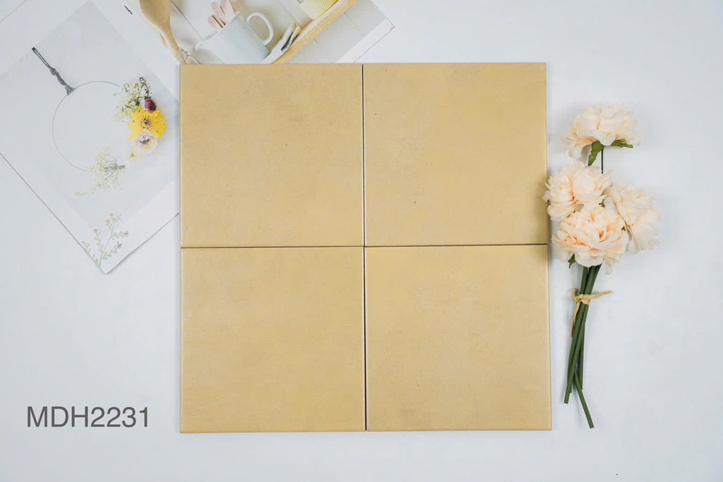 Gạch bông giả cổ KT 200x200 mm mã MDH2231 (1h/1m/25v)