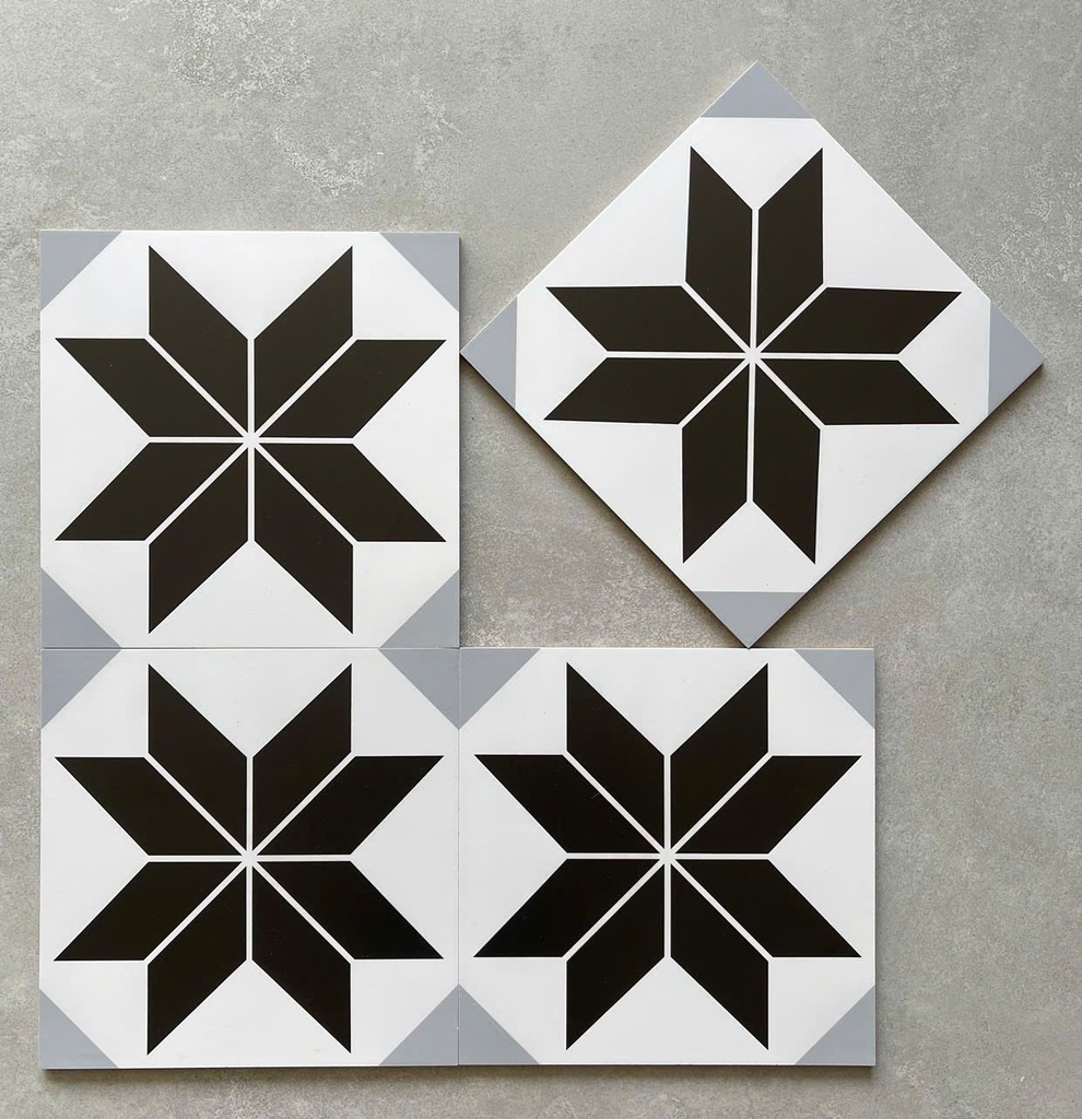 Gạch bông kt 300x300mm xương ceramic mã BNC3221