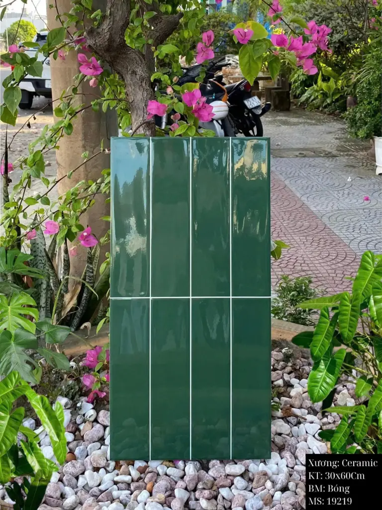 [DSC-19219] Gạch ốp lát kt 30x60 mã 19219
