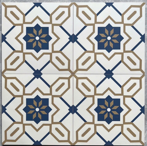 [DSC-2918]  Gạch bông TQ, KT 200x200 mm, Xương Porcelain mặt mờ mã DS2918