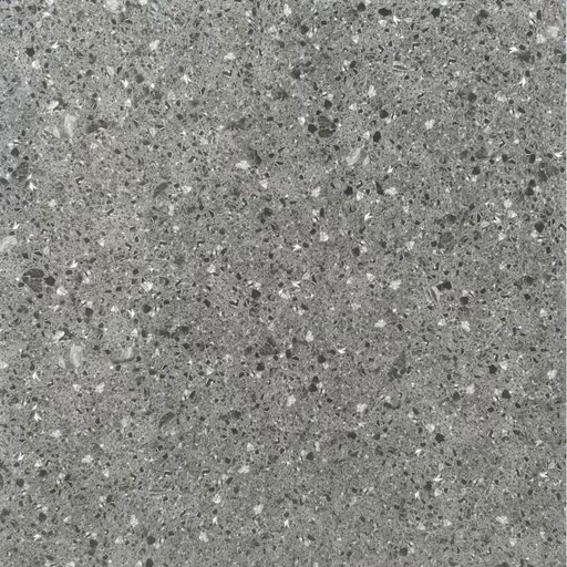 [cũ43166057] Gạch terrazzo TQ, KT 600x600 mm porcelain mặt mờ mã 6057