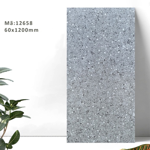 [12658] Gạch Terrazzo TQ, KT 600x1200mm Xương Porcelain mờ phẳng mã 12658 
