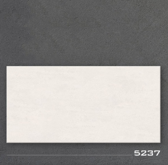 [TP5237] Gạch 300x600mm Men Matt TP5237