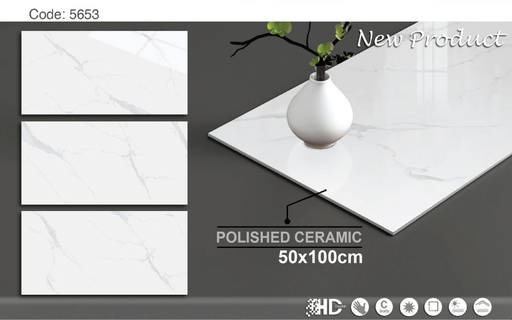 [TP5653] Gạch 500x1000mm Men Bóng TP5653