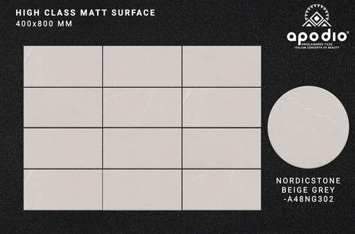 [A48NG302] GẠCH ỐP LÁT APODIO A48NG302 (Matt)