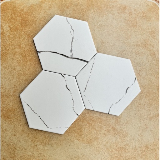 [SY2001] Gạch bông lục giá KT 200x230x115mm mã SY2001