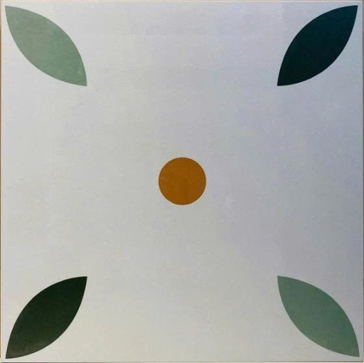 [FG4013] Gạch Bông KT 400x400mm mã FG4013 (1h/1.6m/10v/28.5kg)