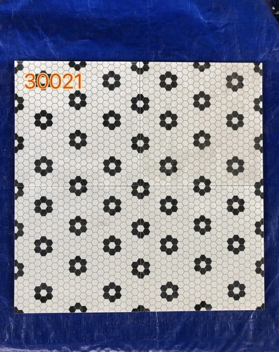 [HCM30021] Gạch bông 300x300 mm mã 30021