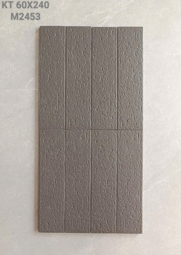 [2453] Gạch thẻ 60*240 mm mã 2453