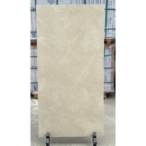 [12155R] Gạch Ấn Độ DSH Men Matt kt 600x1200mm Mã 12155R