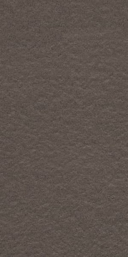 [g12529jdd] Gạch lát nền taicera 30×60 g63521