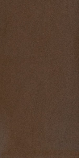 [g68034] Gạch lát nền taicera 30×60 g63911