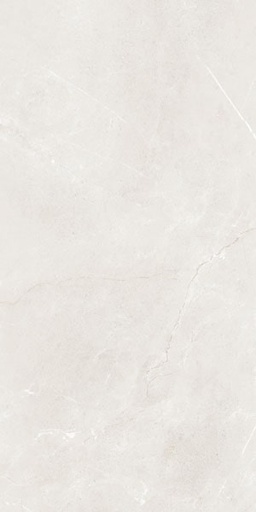 [g68918] Gạch lát nền taicera 60×120 g12845