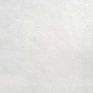 [CTS4400] Gạch lát nền taicera 60×60 p67662n