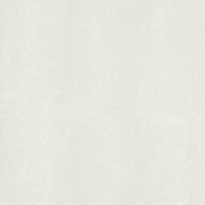 [HPR 8188] Gạch lát nền taicera 60×60 p67762n